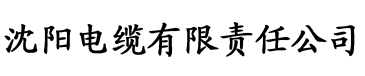 国产精品日韩av在自线在免费电缆厂logo